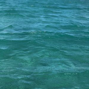 Meet your Posher, Amandaliz